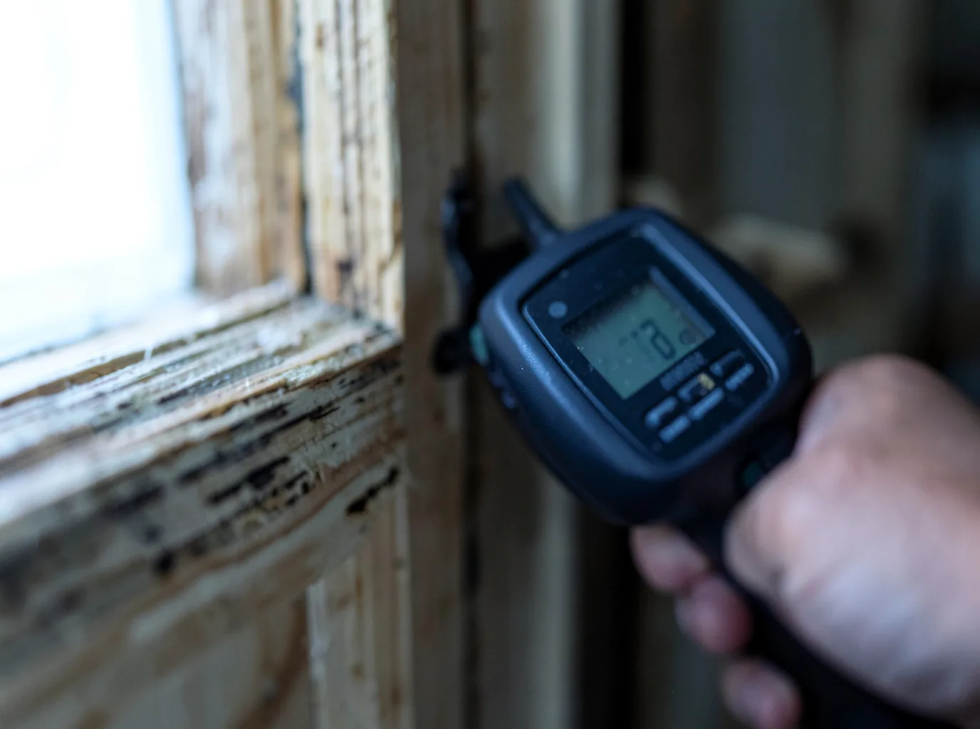 Commercial Water Damage Restoration in Gravel Switch, KY